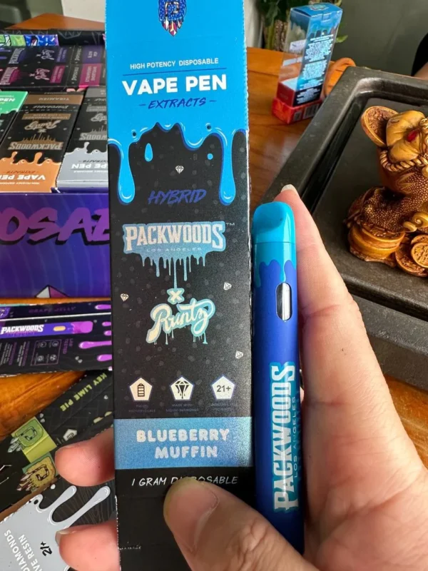 Buy Packwoods x Runtz 1g Disposable Long Edition Vape in Germany